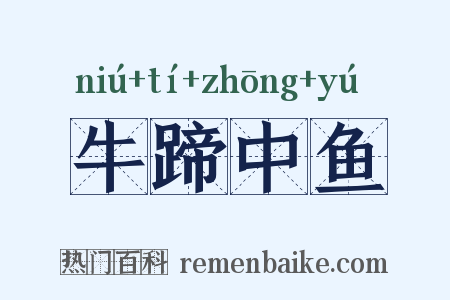 牛蹄中鱼是什么意思的图片